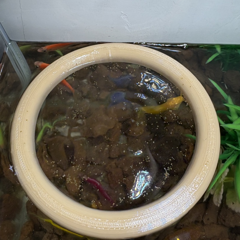 Aquarium Fish Keeping - Aquarium feeders keep the aquarium clean/prevent
