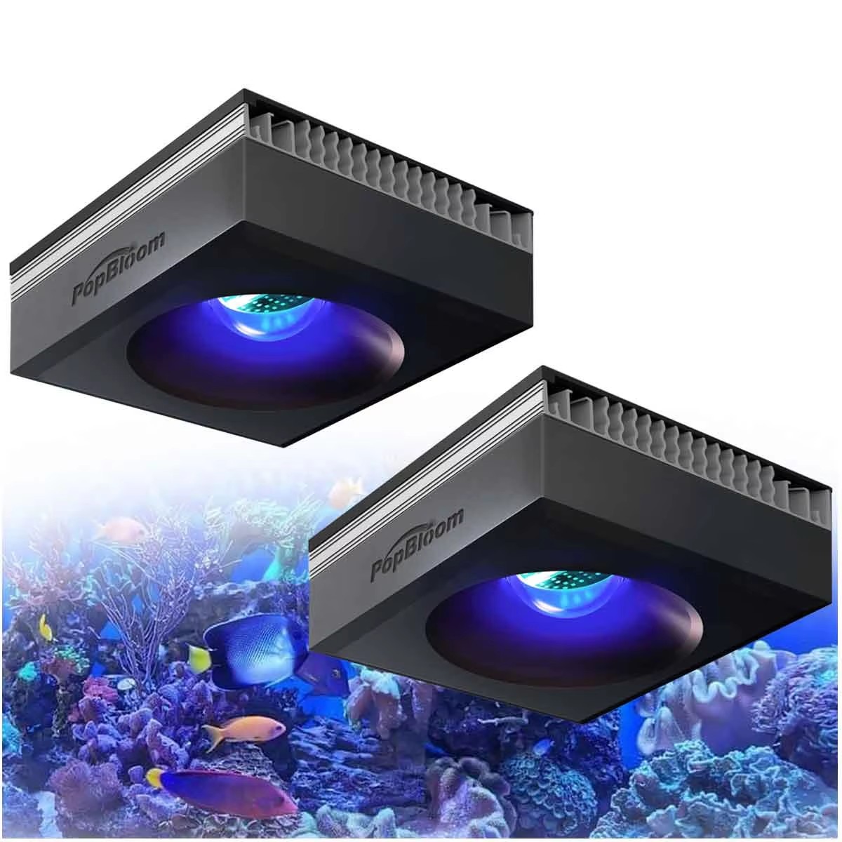 Aquarium Fish Marine - PopBloom RL90 WiFi Reef Aquarium Light