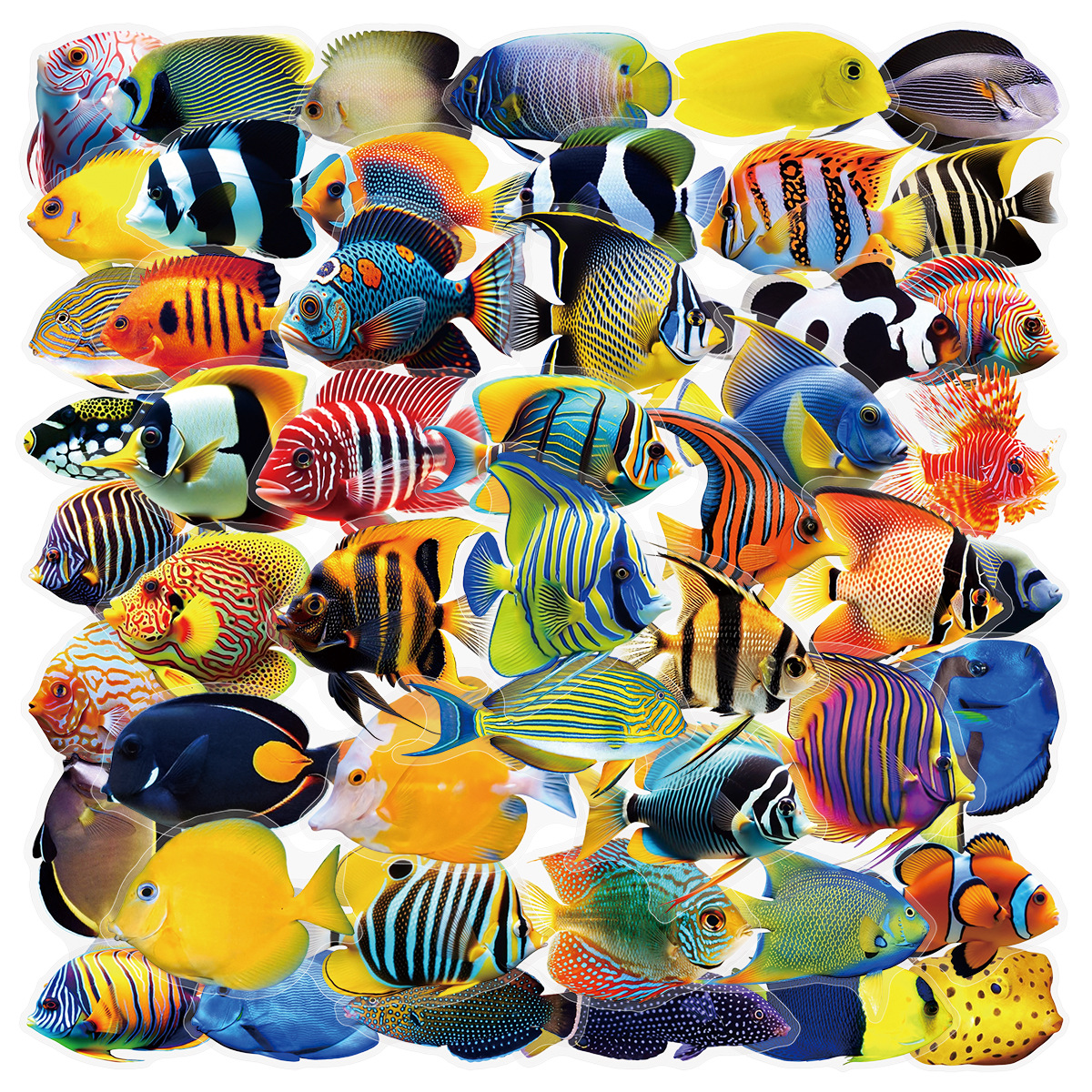 Aquarium Fish Marine - 50/100 Pcs PET Transparent Marine Fish
