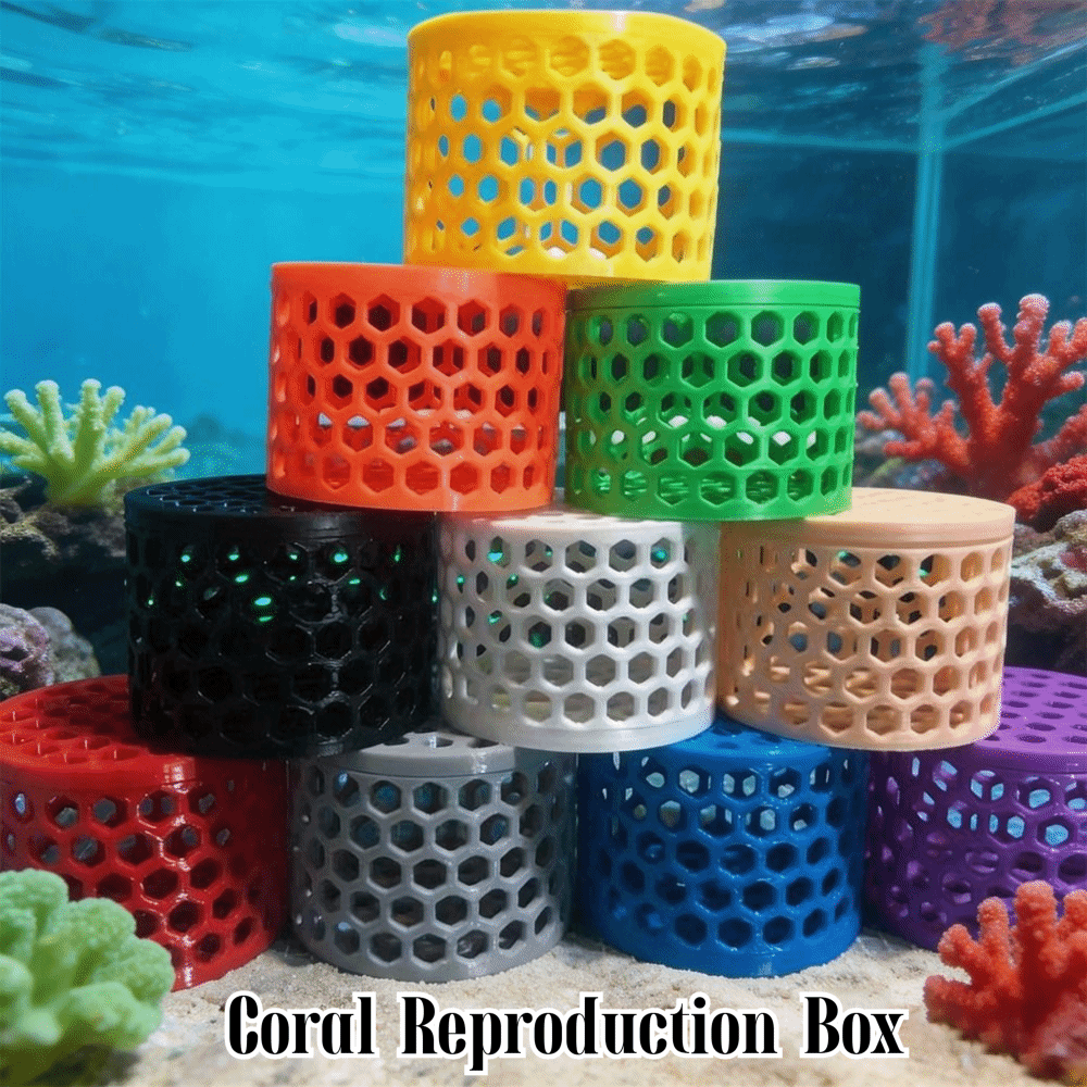 Aquarium Fish Reproduction - 3D Printing Coral Reproduction Box Ornamental
