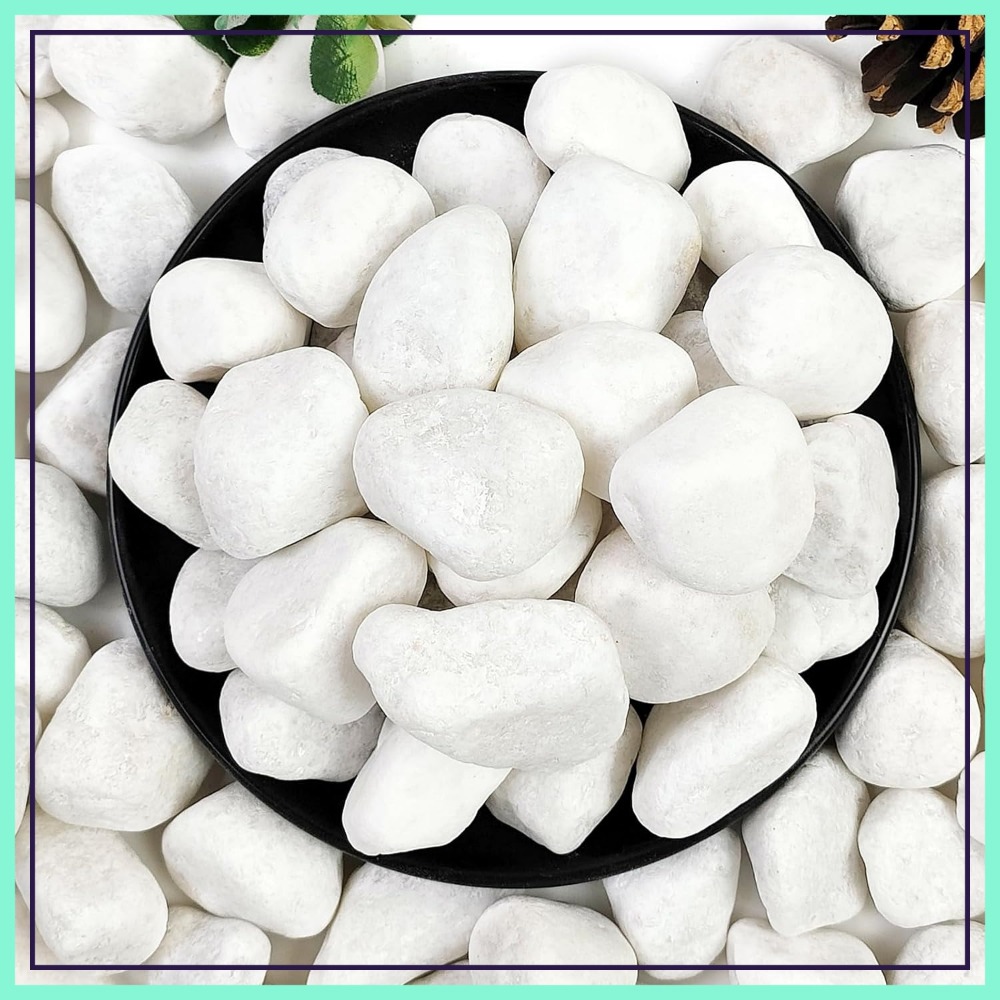 Aquarium Fish Guppy - 1-2 Inch White Pebbles for Indoor