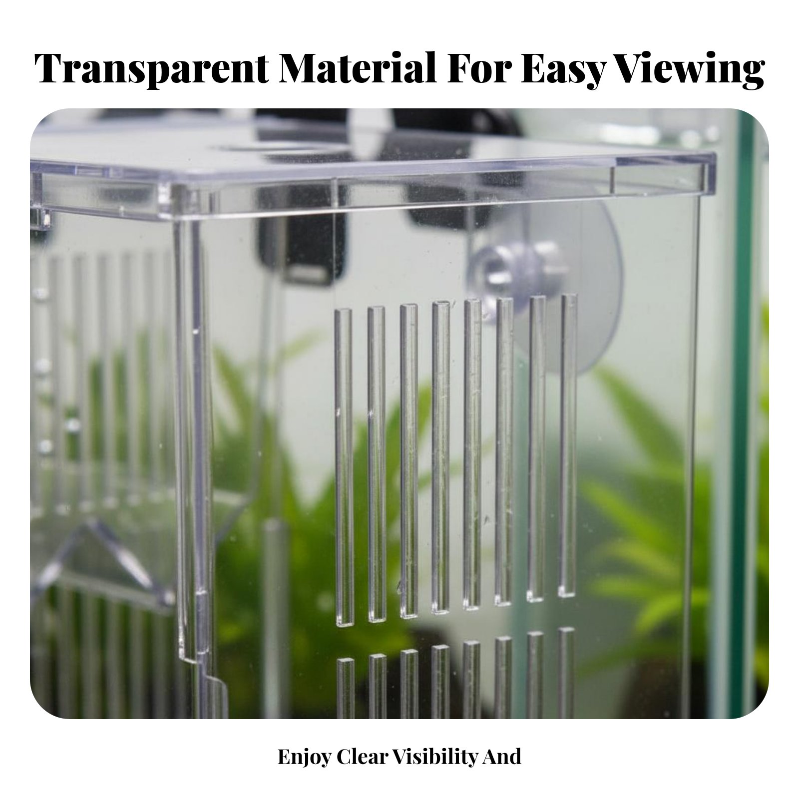 Aquatic Habitat Hatchery Box P – Aquarium Fish Guppy recenzja i cena