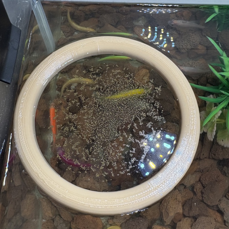 Aquarium feeders keep the aqua – Aquarium Fish Keeping recenzja i cena