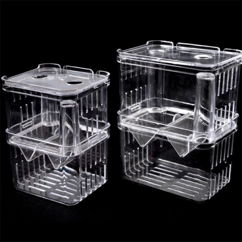 Tank For Baby Fishes Guppy Aqu – Aquarium Fish Reproduction recenzja i cena