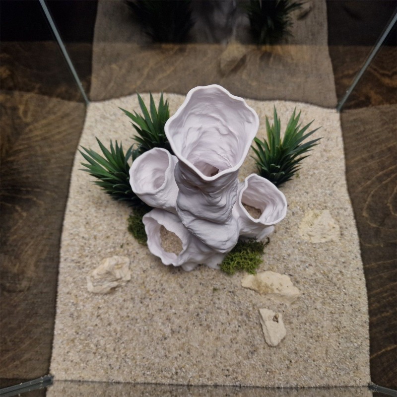 Hot Sale 3D Printed Coral Tunn – Aquarium Fish For Sale recenzja i cena