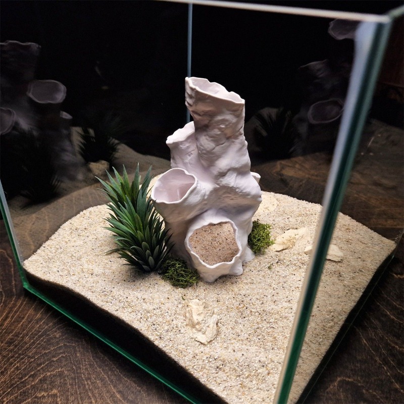 Hot Sale 3D Printed Coral Tunn – Aquarium Fish For Sale recenzja i cena