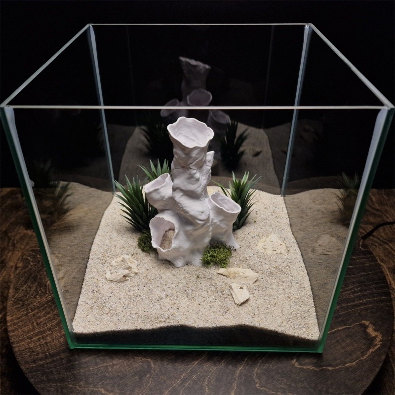 Hot Sale 3D Printed Coral Tunn – Aquarium Fish For Sale recenzja i cena