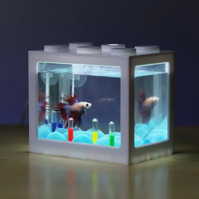 USB Illuminated Small Fish Tan – Aquarium Fish For Sale recenzja i cena