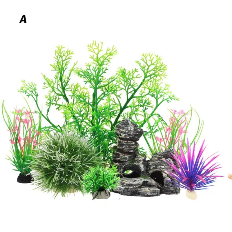 10pcs Hot Selling New Arrival  – Aquarium Fish For Sale recenzja i cena