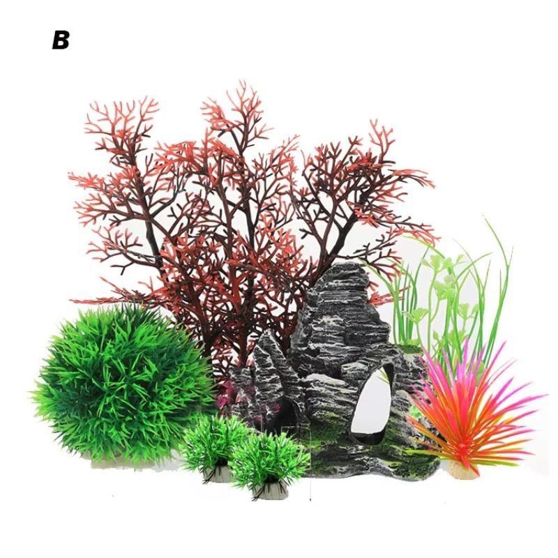 10pcs Hot Selling New Arrival  – Aquarium Fish For Sale recenzja i cena
