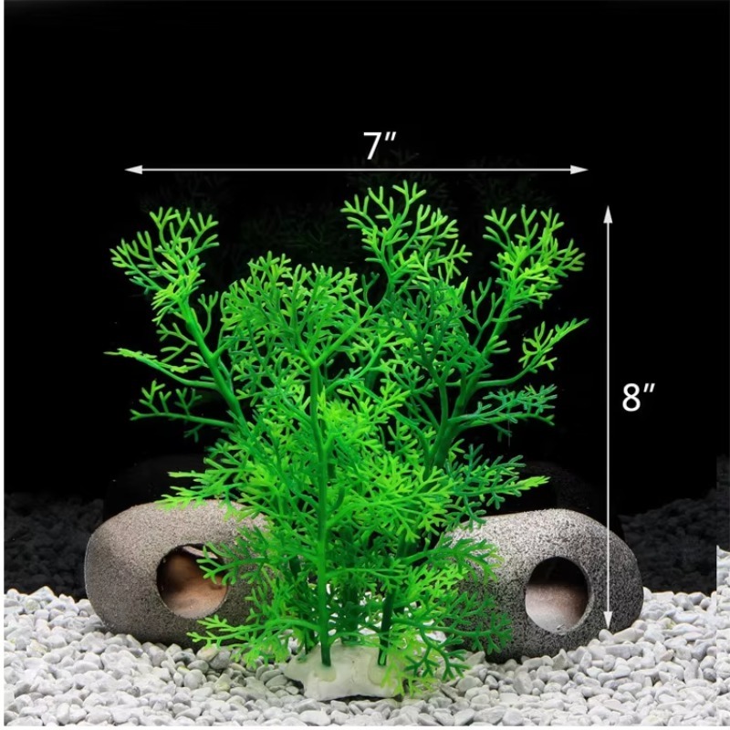 10pcs Hot Selling New Arrival  – Aquarium Fish For Sale recenzja i cena
