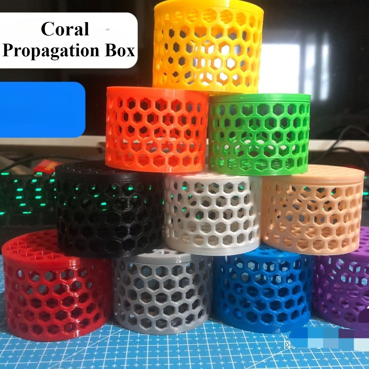 Fluorescent SPS LPS Coral Moun – Aquarium Fish Reproduction recenzja i cena