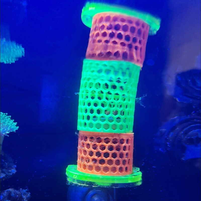 Fluorescent SPS LPS Coral Moun – Aquarium Fish Reproduction recenzja i cena