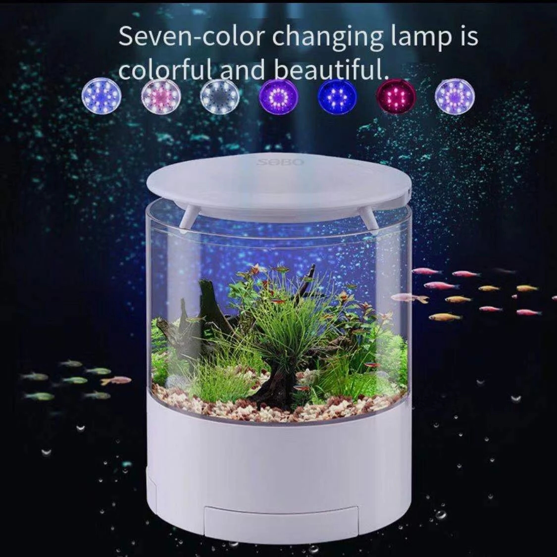 Round colorful lights desktop  – Aquarium Fish For Sale recenzja i cena
