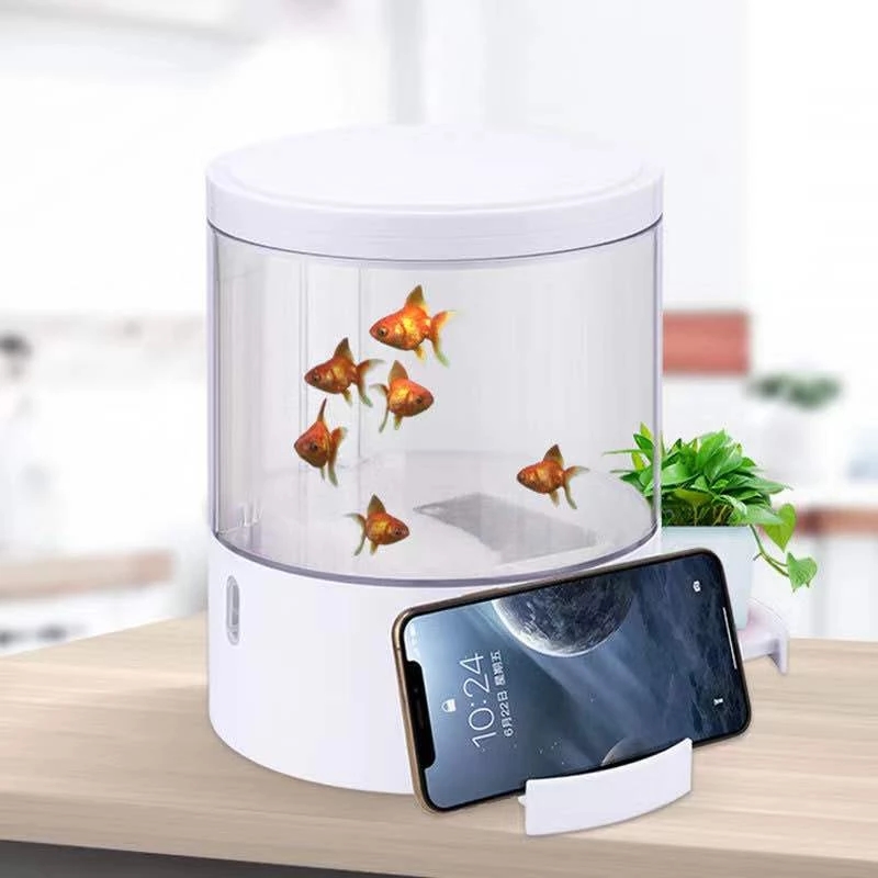 Round colorful lights desktop  – Aquarium Fish For Sale recenzja i cena