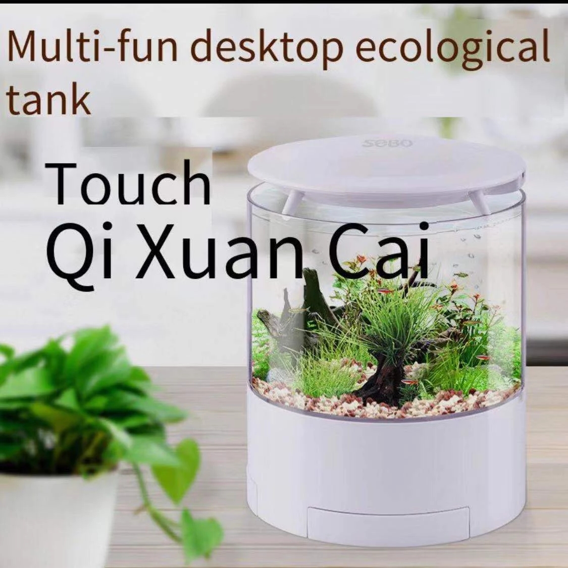 Round colorful lights desktop  – Aquarium Fish For Sale recenzja i cena