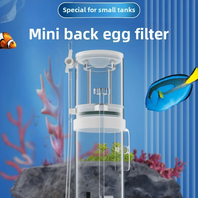 110V-240V New Mini Aquarium Pr – Protein Skimmer Reef recenzja i cena
