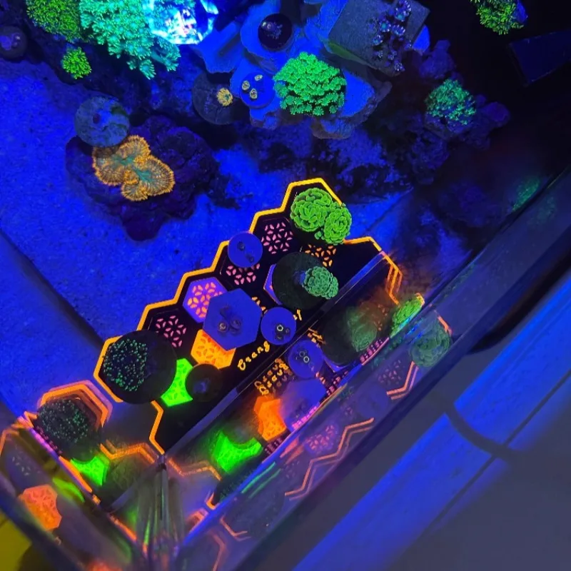 Fluorescent Coral Frag Plugs L – Aquarium Fish Reproduction recenzja i cena