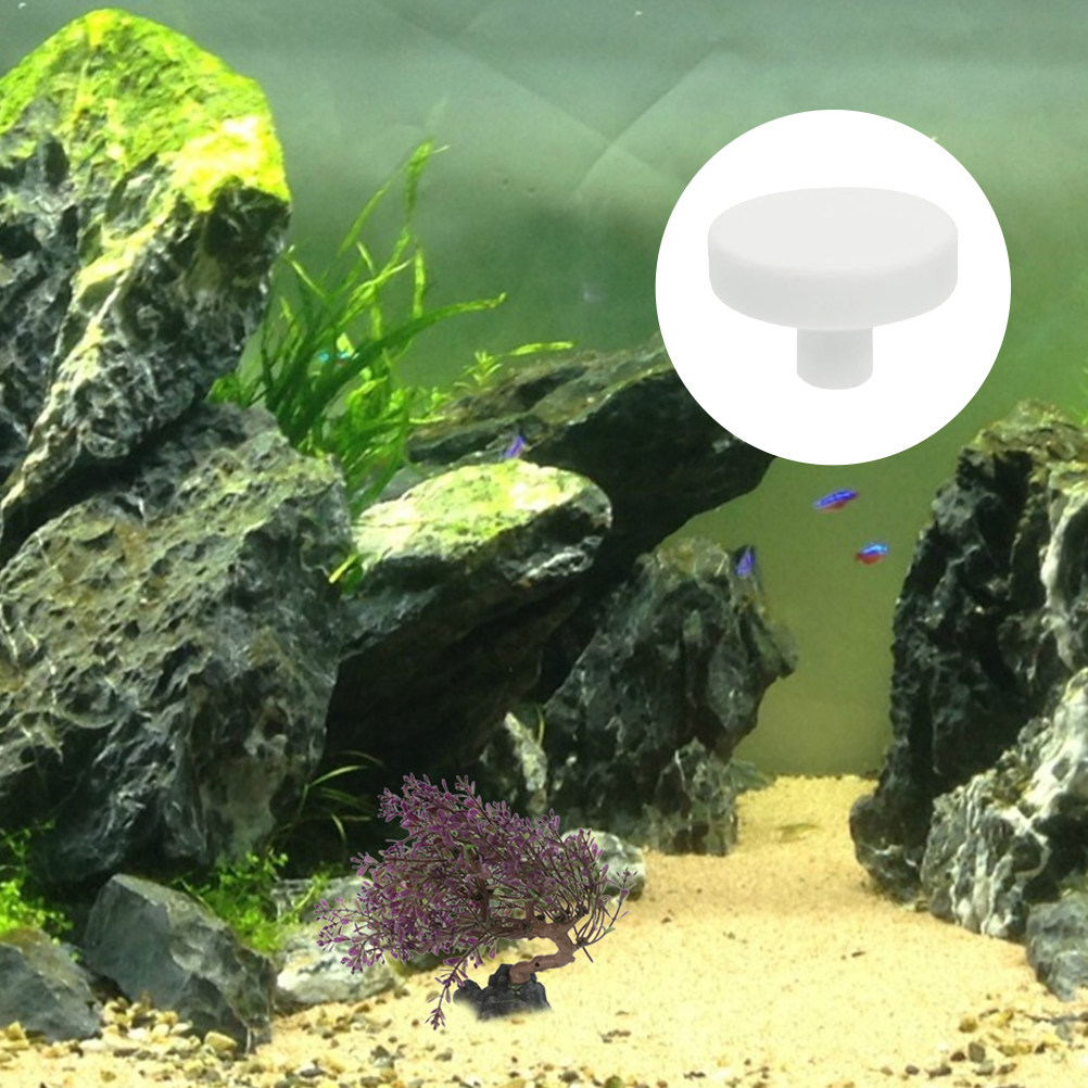 20Pcs Fish Tank Coral Base T S – Aquarium Fish Reproduction recenzja i cena