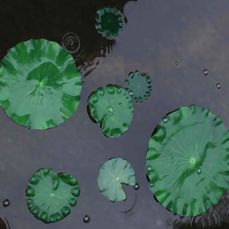2026 Artificial Water Lily Lot – Aquarium Fish Guppy recenzja i cena