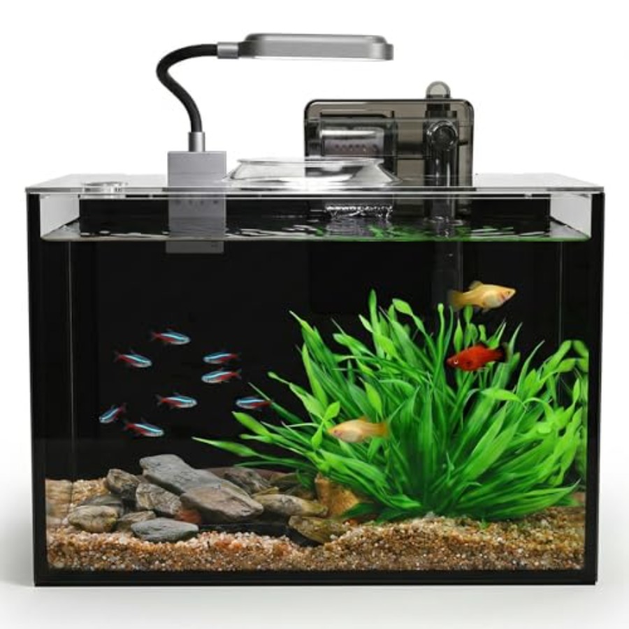 5 Small Aquarium Set Glass Fis – Aquarium Fish Keeping recenzja i cena