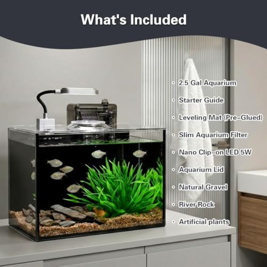 5 Small Aquarium Set Glass Fis – Aquarium Fish Keeping recenzja i cena