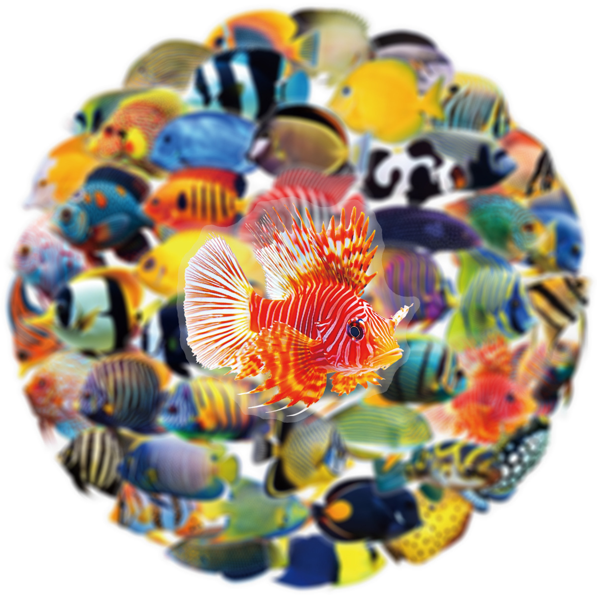 50/100 Pcs PET Transparent Mar – Aquarium Fish Marine recenzja i cena