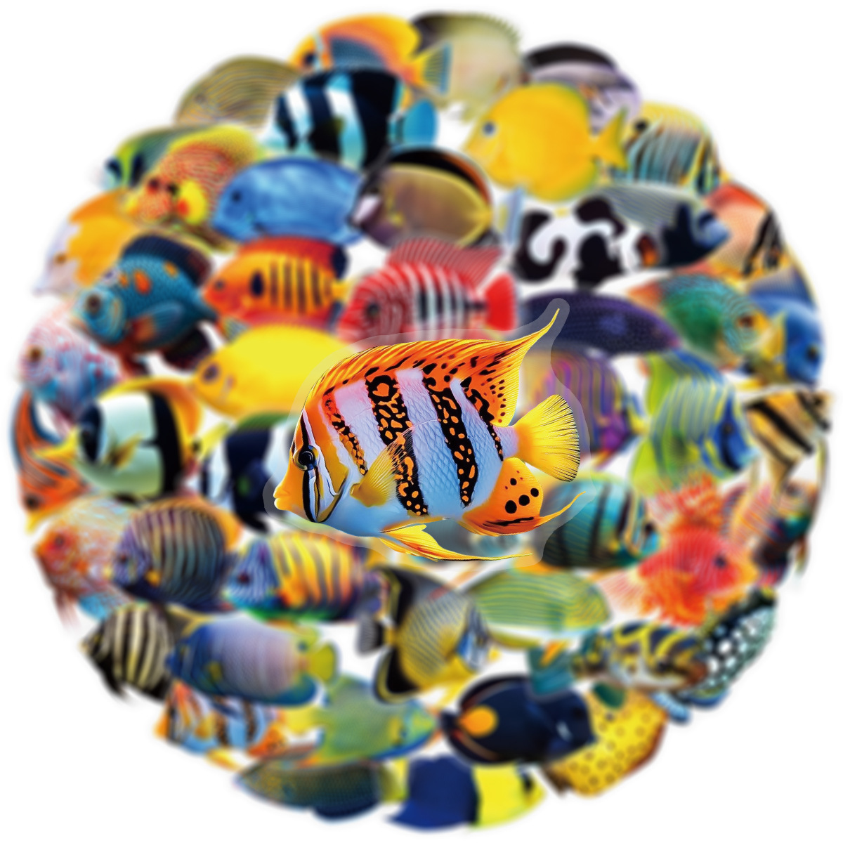 50/100 Pcs PET Transparent Mar – Aquarium Fish Marine recenzja i cena