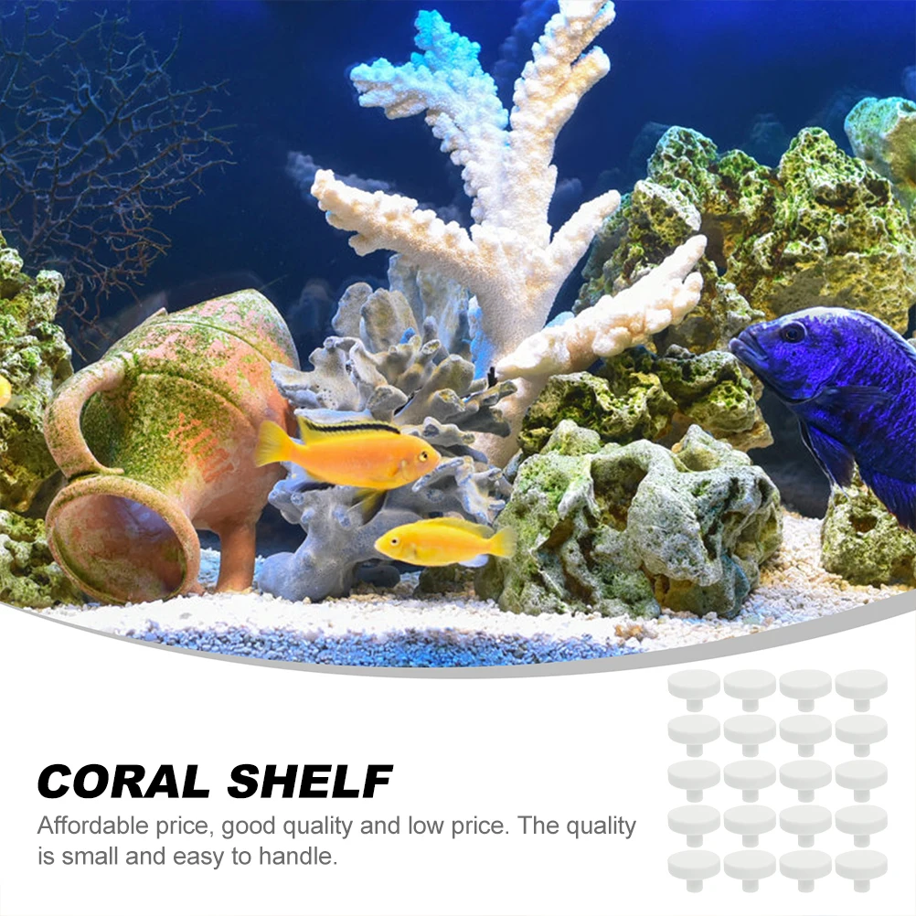 20Pcs Coral Glue Reef Safe Cor – Aquarium Fish Reproduction recenzja i cena