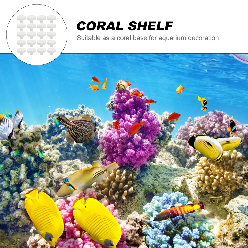 20Pcs Coral Glue Reef Safe Cor – Aquarium Fish Reproduction recenzja i cena