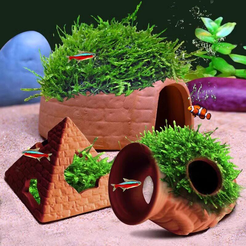  Clay Tank with Hiding Hole fo – Aquarium Fish Reproduction recenzja i cena