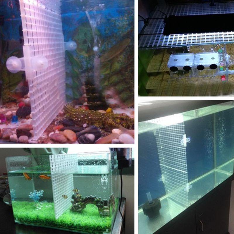 Aquarium Bottom Plate Fish for – Aquarium Fish For Sale recenzja i cena