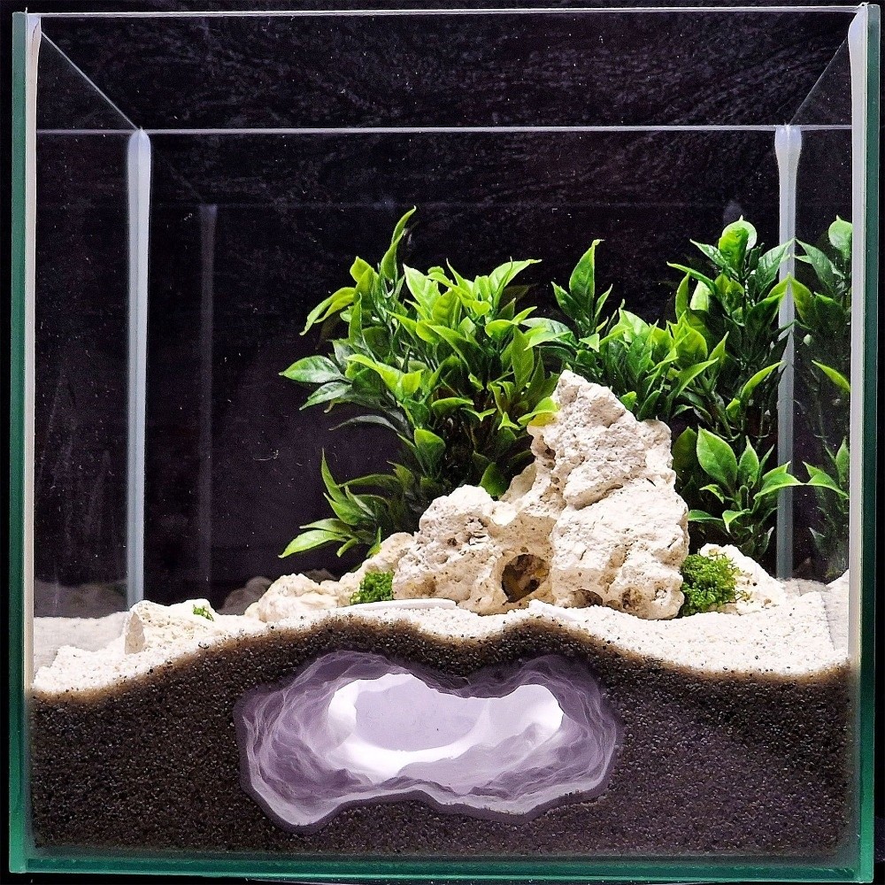 Highly Simulated Aquarium Fish – Aquarium Fish Reproduction recenzja i cena