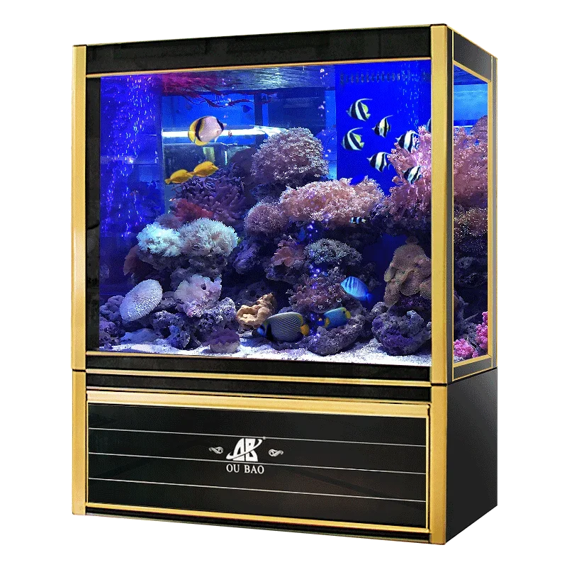 #s Aquariums & Accessories Bes – Aquarium Fish For Sale recenzja i cena