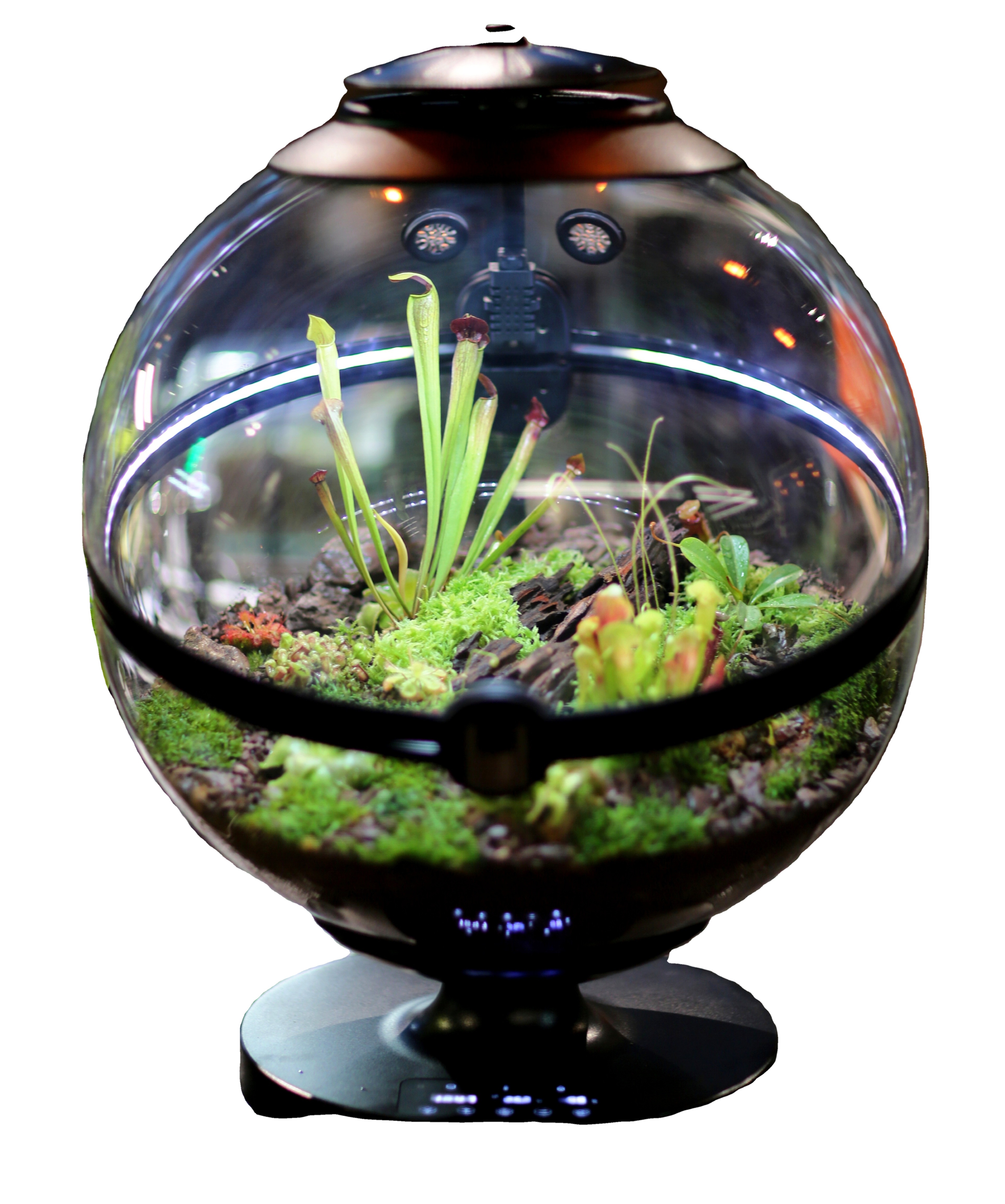 Hot Sales Acrylic Material  Ba – Aquarium Fish For Sale recenzja i cena