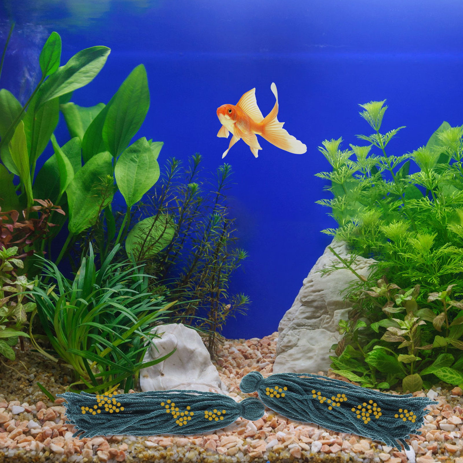 5 Pcs Mop Fish Breeding Spawni – Aquarium Fish Reproduction recenzja i cena