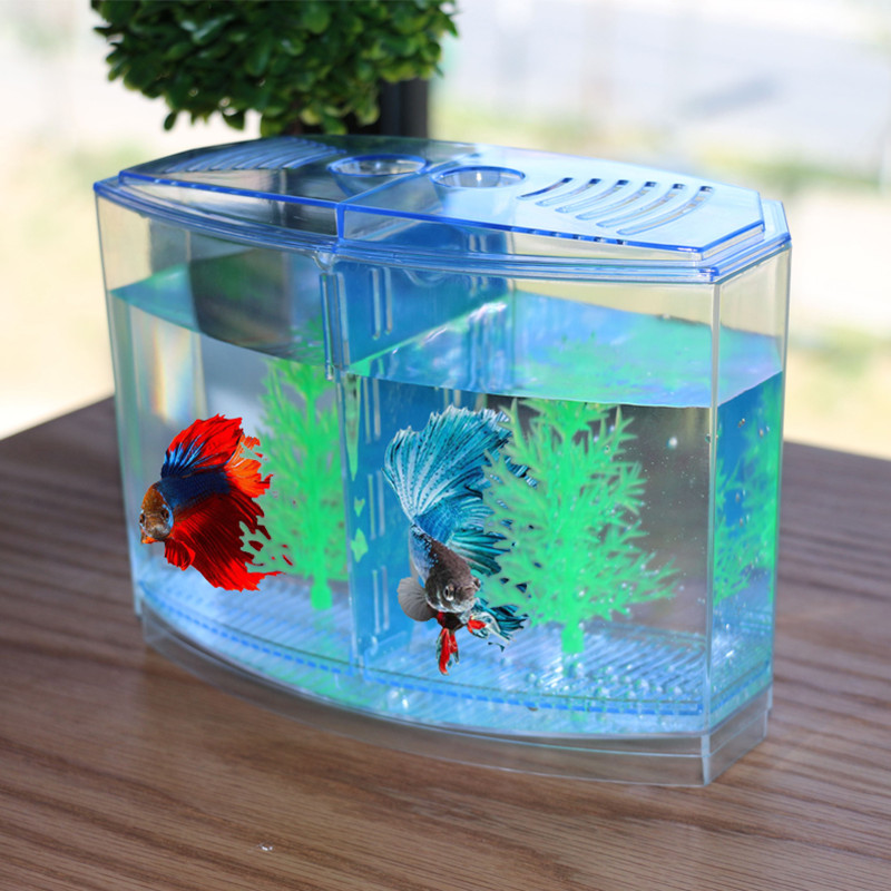 Novel and Funny Toy Creative F – Aquarium Fish Keeping recenzja i cena