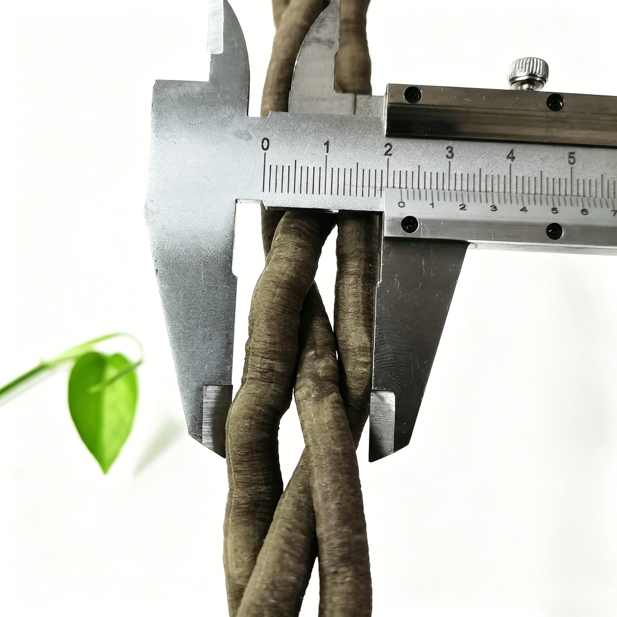 100cm Artificial Vine Fake Pla – Aquarium Fish Guppy recenzja i cena