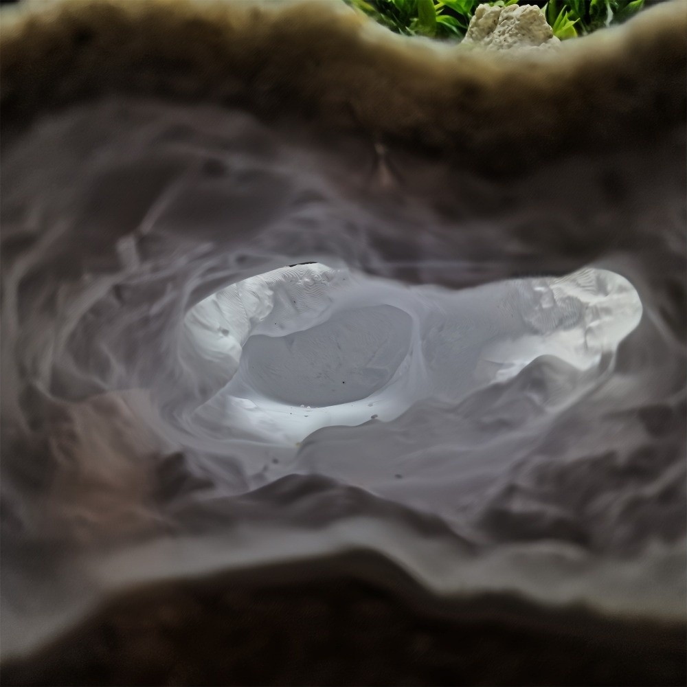 Highly Simulated Aquarium Fish – Aquarium Fish Reproduction recenzja i cena