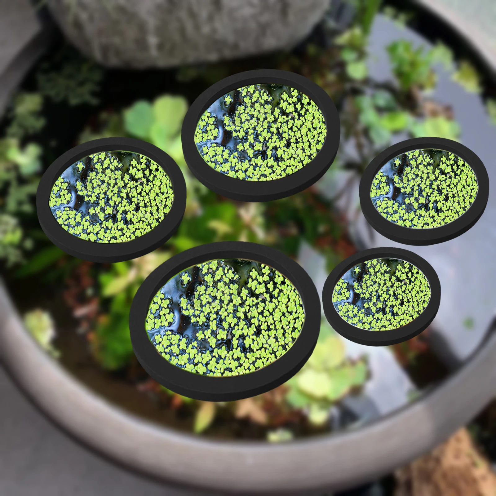 5Pcs EVA Fish Feeding Ring Aqu – Aquarium Fish Marine recenzja i cena
