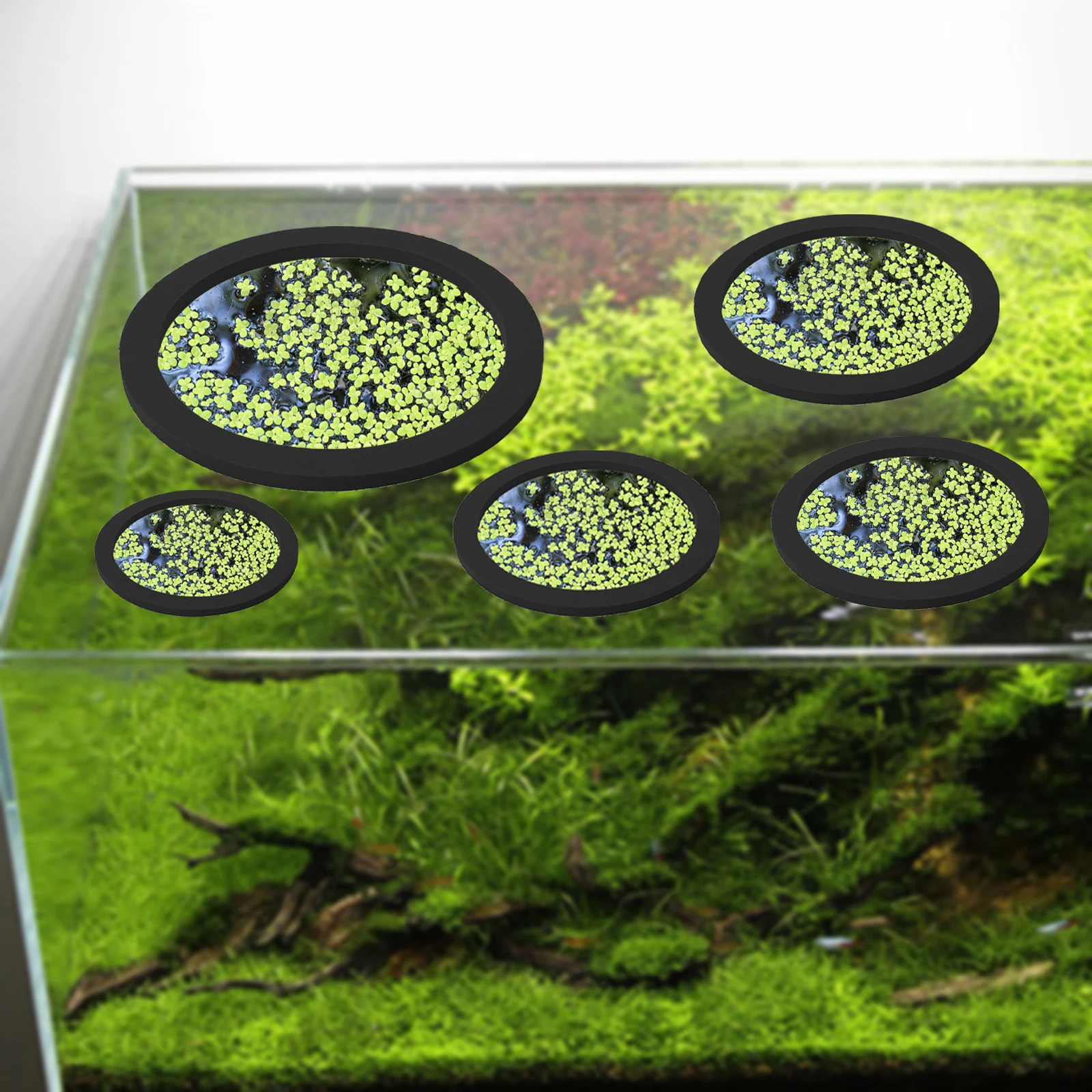 5Pcs EVA Fish Feeding Ring Aqu – Aquarium Fish Marine recenzja i cena