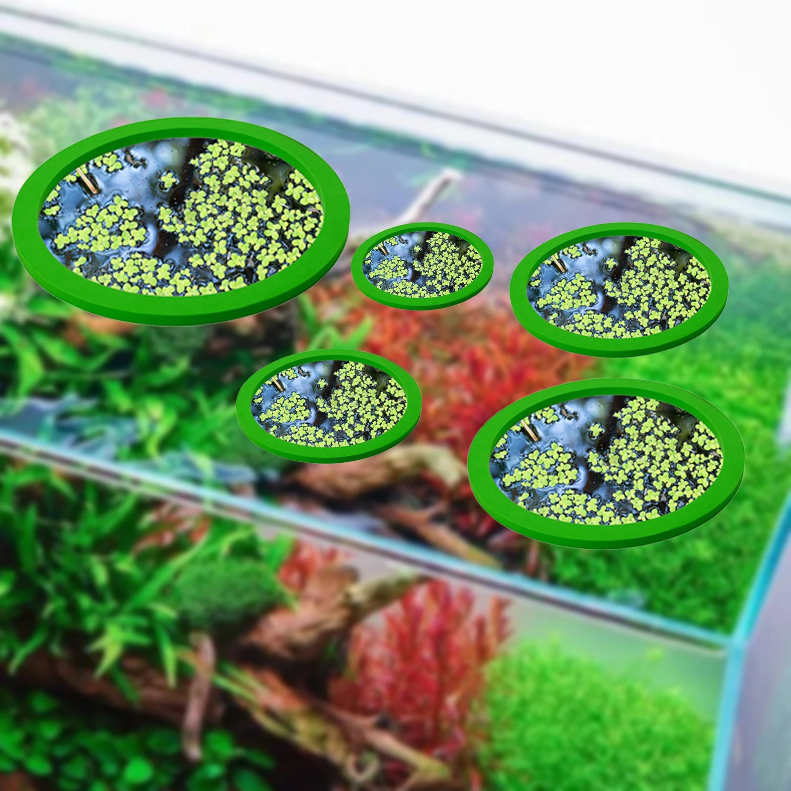 5Pcs EVA Fish Feeding Ring Aqu – Aquarium Fish Marine recenzja i cena