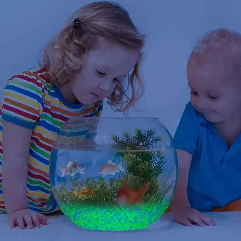 1000pcs 3-5mm Luminous Sand Gl – Aquarium Fish Guppy recenzja i cena