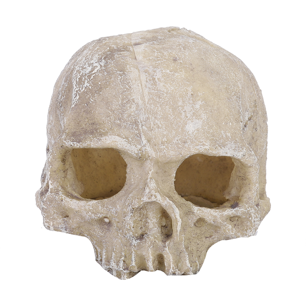 Resin Simulated Head Bone Skul – Aquarium Fish Marine recenzja i cena