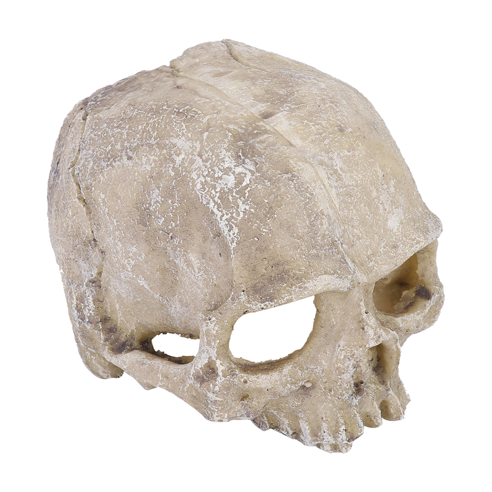 Resin Simulated Head Bone Skul – Aquarium Fish Marine recenzja i cena
