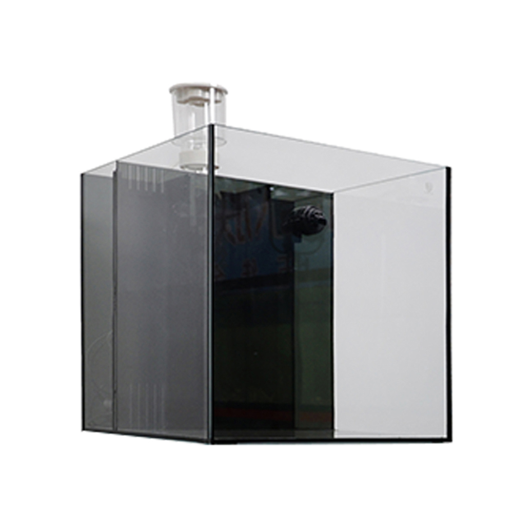 Indoor Glass Frameless Fish Aq – Aquarium Fish For Sale recenzja i cena