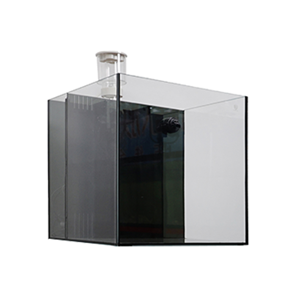 Indoor Glass Frameless Fish Aq – Aquarium Fish For Sale recenzja i cena