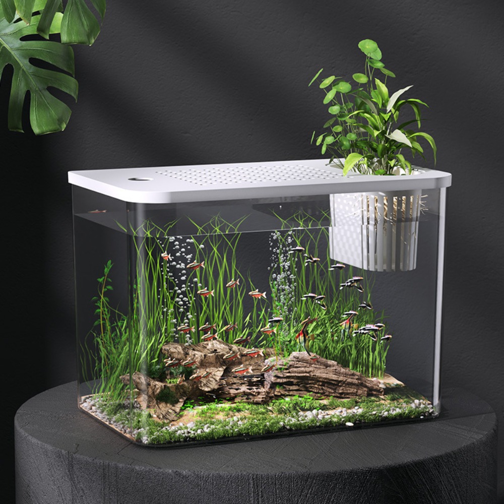 PET+ABS Fish Tank Transparent  – Aquarium Fish For Sale recenzja i cena