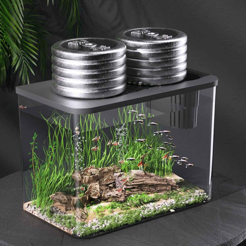 PET+ABS Fish Tank Transparent  – Aquarium Fish For Sale recenzja i cena