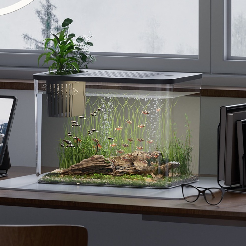PET+ABS Fish Tank Transparent  – Aquarium Fish For Sale recenzja i cena
